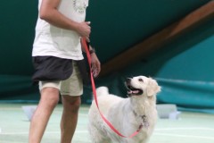 IMG_4785