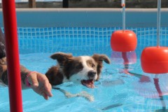IMG_5540