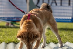 30092023-_DSC9854