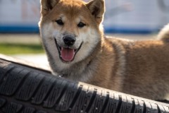 30092023-_DSC9891