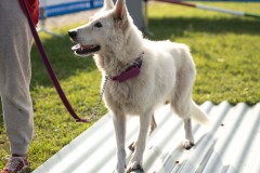 30092023-_DSC9968