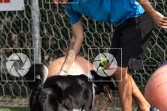 17092023-_DSC7928