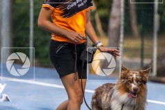 17092023-_DSC8622