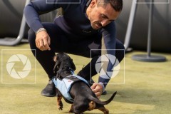 17092023-_DSC7494