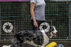 17092023-_DSC8035