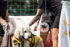 17092023-_DSC8320