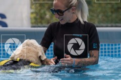 17092023-_DSC8326