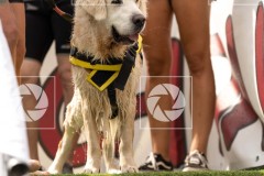 17092023-_DSC8338